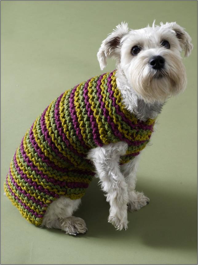 crochet-small-dog-sweater-patterns-free